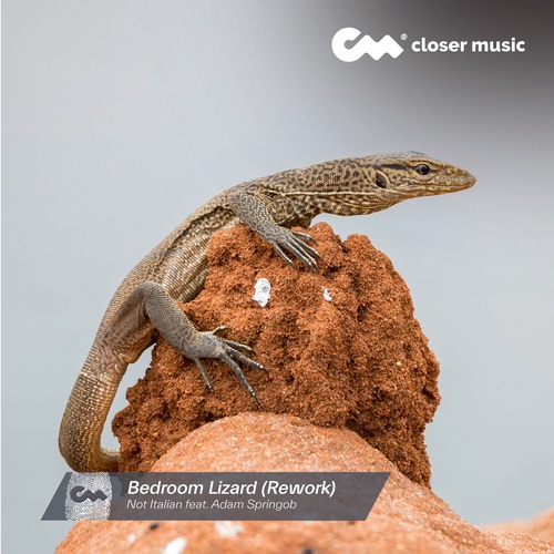 Bedroom Lizard - Rework Instrumental
