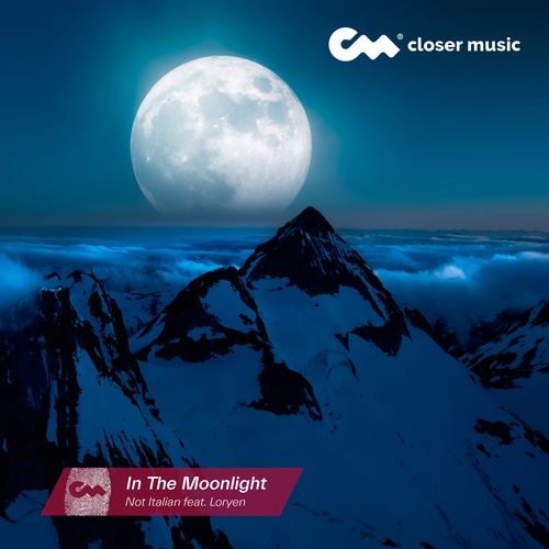 In The Moonlight - Instrumental