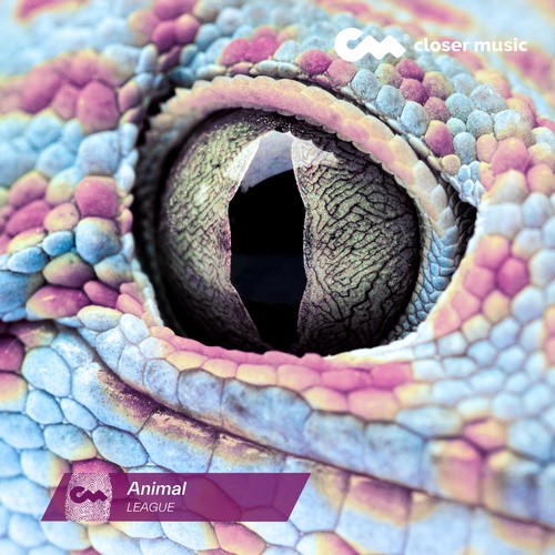 Animal - Instrumental