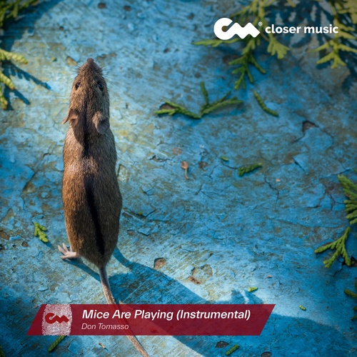 Mice Are Playing - Instrumental