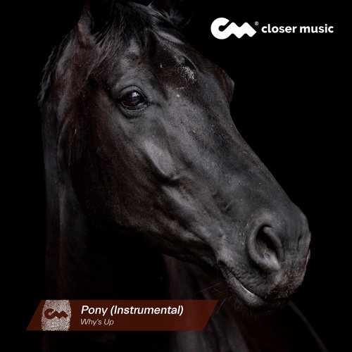 Pony - Instrumental
