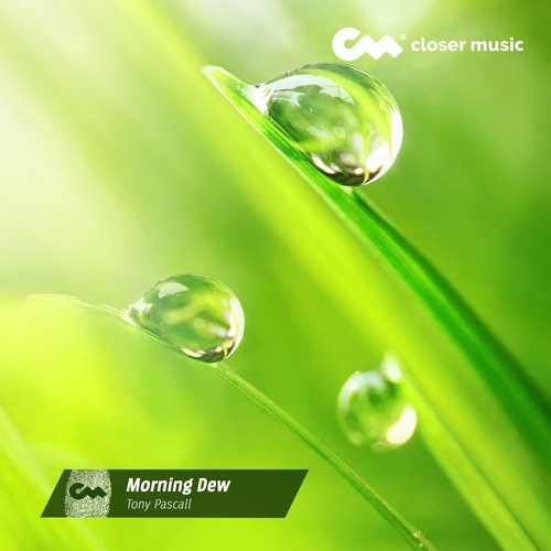 Morning Dew - Instrumental