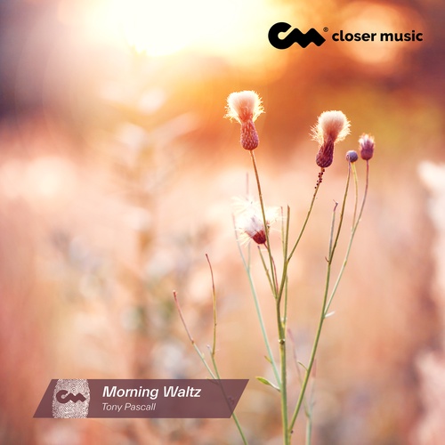 Morning Waltz - Instrumental