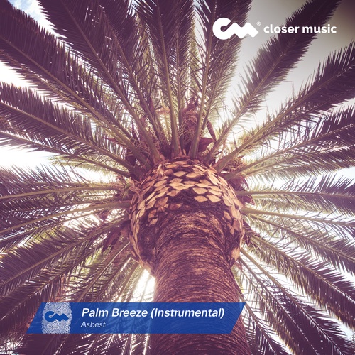 Palm Breeze - Instrumental