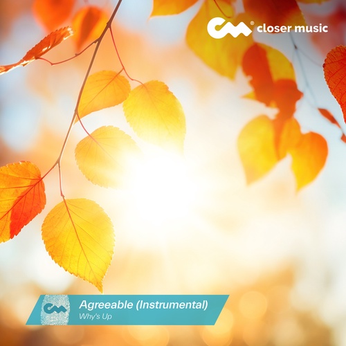 Agreeable - Instrumental