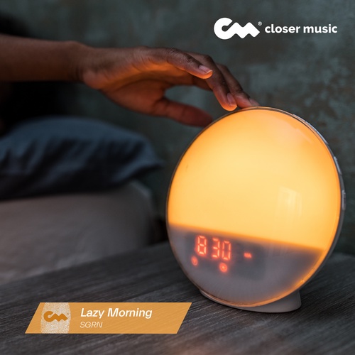 Lazy Morning