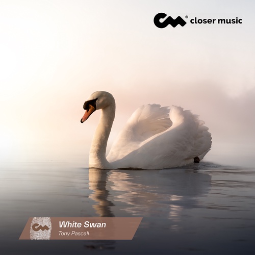 White Swan - Instrumental