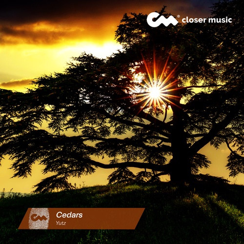 Cedars - Instrumental