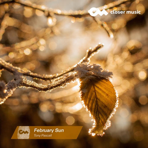 February Sun - Instrumental