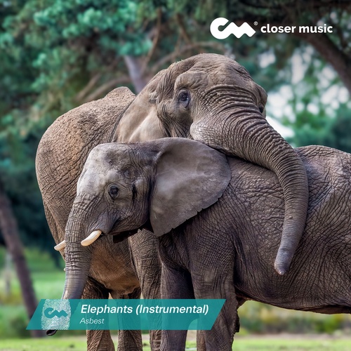 Elephants - Instrumental