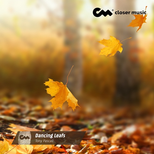 Dancing Leafs - Instrumental