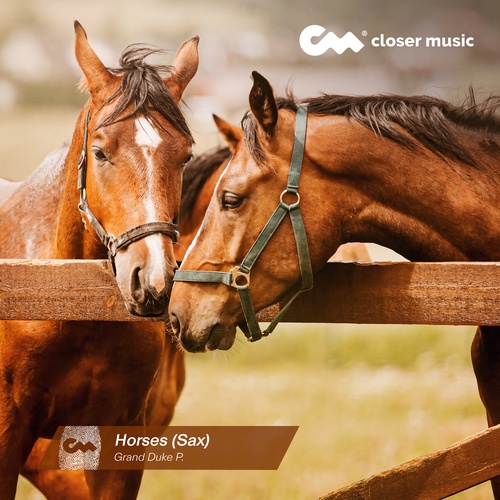 Horses - Sax