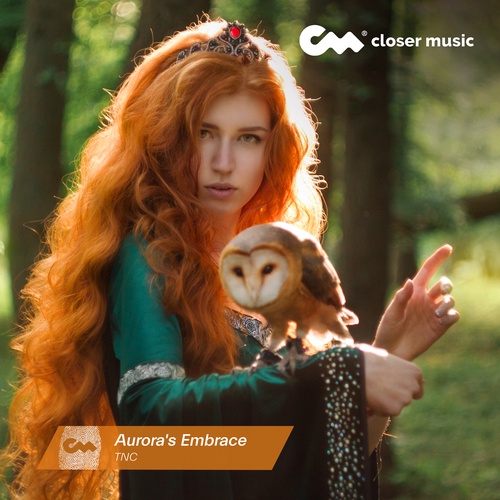 Aurora's Embrace - Instrumental
