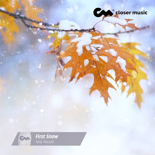 First Snow - Instrumental