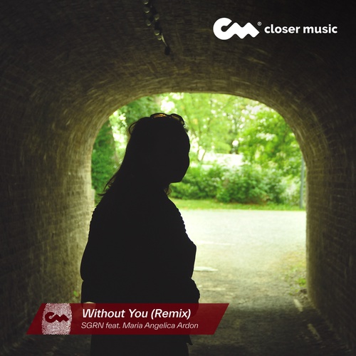 Without You - Remix
