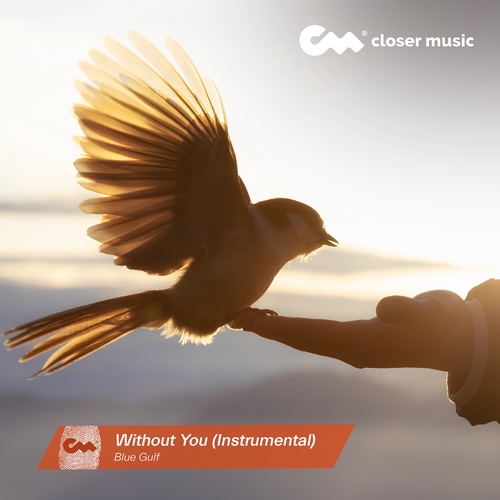 Without You - Instrumental