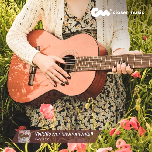 Wildflower - Instrumental